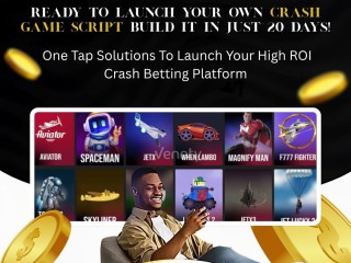 Start a Crash Game Platform Quickly – Free Demo Available from Plurance!