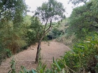 Terreno en venta en Olocuilta carretera a Comalapa